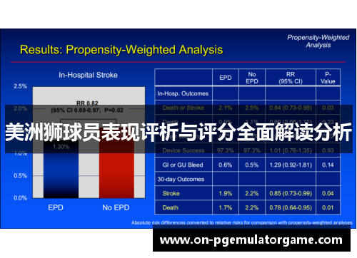 美洲狮球员表现评析与评分全面解读分析