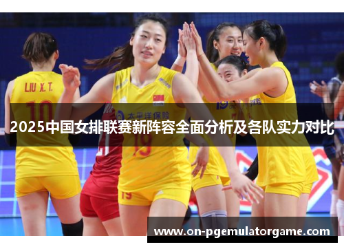 2025中国女排联赛新阵容全面分析及各队实力对比