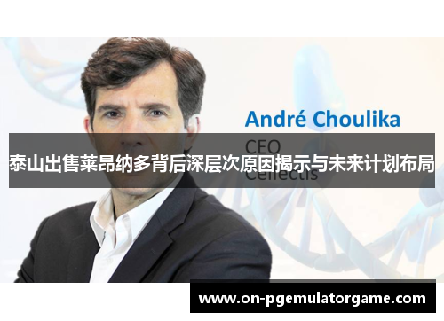 泰山出售莱昂纳多背后深层次原因揭示与未来计划布局