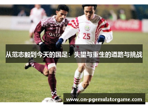 从范志毅到今天的国足：失望与重生的道路与挑战