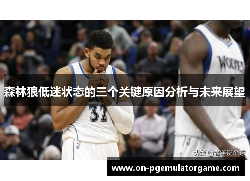 森林狼低迷状态的三个关键原因分析与未来展望
