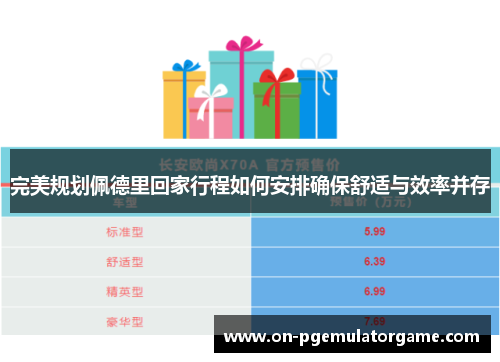 完美规划佩德里回家行程如何安排确保舒适与效率并存