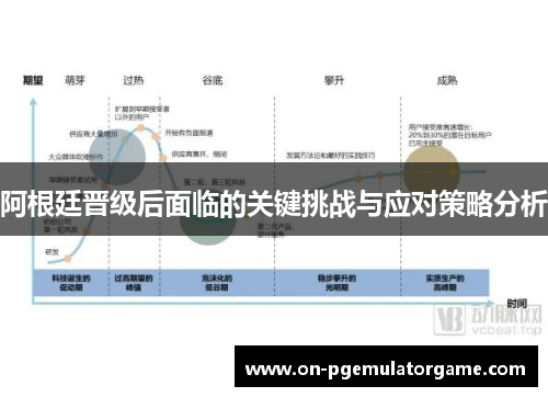 阿根廷晋级后面临的关键挑战与应对策略分析