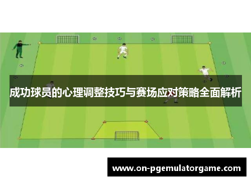 成功球员的心理调整技巧与赛场应对策略全面解析