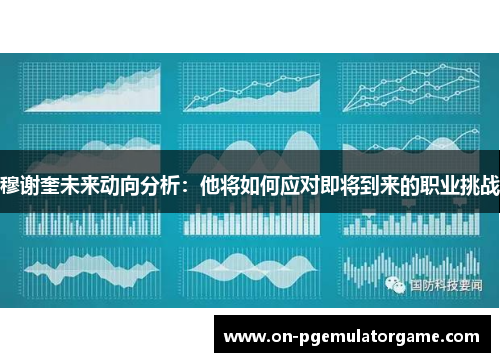 穆谢奎未来动向分析：他将如何应对即将到来的职业挑战