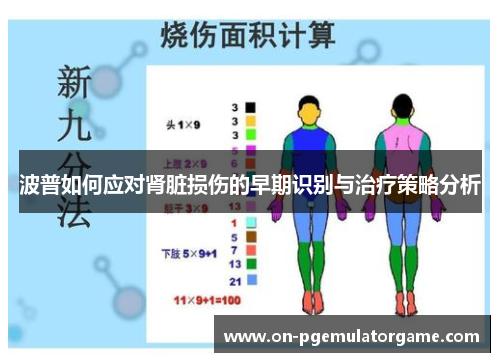 波普如何应对肾脏损伤的早期识别与治疗策略分析