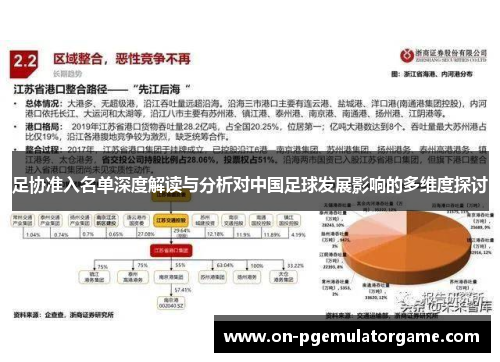 足协准入名单深度解读与分析对中国足球发展影响的多维度探讨