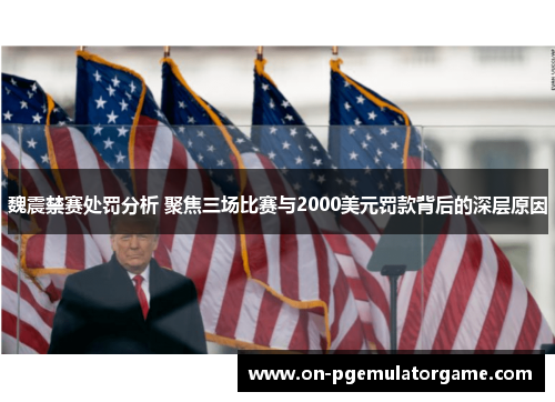 魏震禁赛处罚分析 聚焦三场比赛与2000美元罚款背后的深层原因