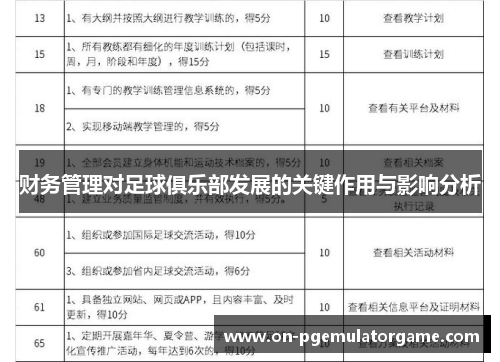 财务管理对足球俱乐部发展的关键作用与影响分析 财务管理对足球俱乐部发展的关键作用与影响分析