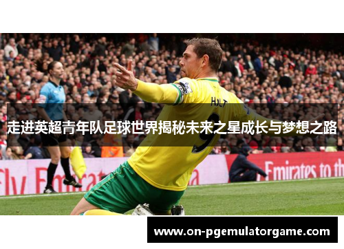 走进英超青年队足球世界揭秘未来之星成长与梦想之路 走进英超青年队足球世界揭秘未来之星成长与梦想之路