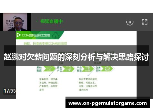 赵鹏对欠薪问题的深刻分析与解决思路探讨 赵鹏对欠薪问题的深刻分析与解决思路探讨
