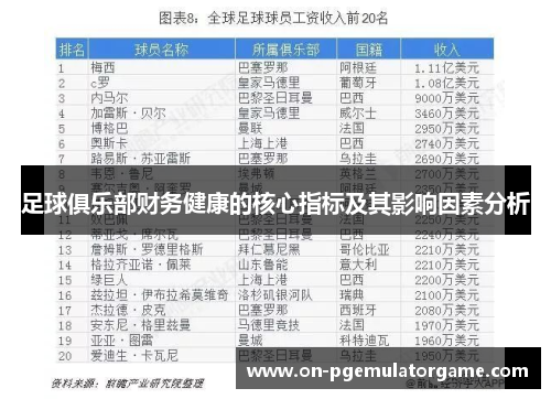足球俱乐部财务健康的核心指标及其影响因素分析 足球俱乐部财务健康的核心指标及其影响因素分析
