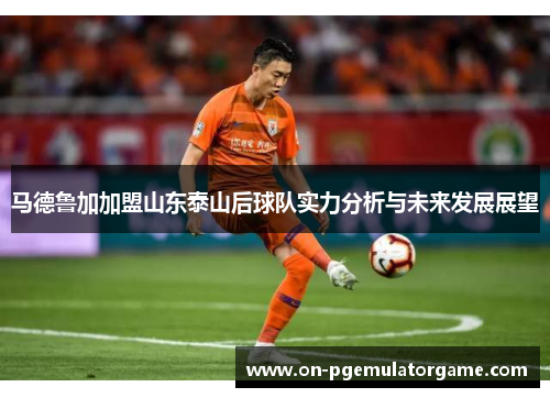 马德鲁加加盟山东泰山后球队实力分析与未来发展展望