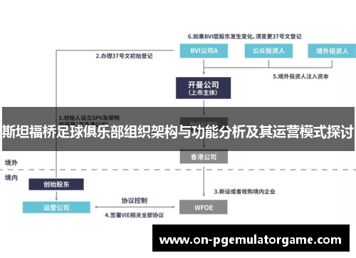斯坦福桥足球俱乐部组织架构与功能分析及其运营模式探讨