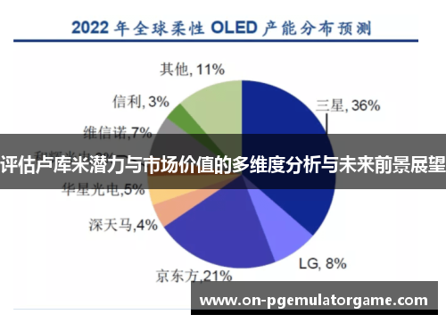 评估卢库米潜力与市场价值的多维度分析与未来前景展望